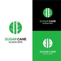 concetto di design del logo della canna da zucchero, logo dello zucchero di canna in cerchio, icona vettore