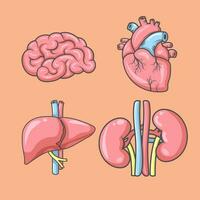 vettore umano organi isometrico icone cuore cervello fegato rene illustrazione stickerpack