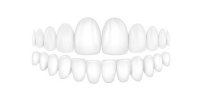 vettore 3d realistico rendere bianca dentiera impostato avvicinamento isolato. odontoiatria e ortodonzia design. umano denti per medico e dentifricio concetto.