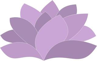 fiore di loto viola vettore