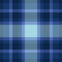 dai un'occhiata tartan tessile di struttura sfondo vettore con un' tessuto senza soluzione di continuità modello plaid.