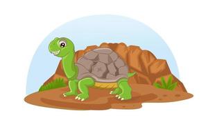divertente tartaruga che cammina tra le rocce vettore