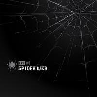 Vector Spider Web sul nero