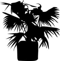 un' nero e bianca illustrazione di un' palma albero, silhouette di palma albero su bianca sfondo vettore arte, nero colore