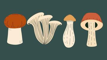 collezione di commestibile funghi. porcini, pleurotus ostreato, re ostrica. vettore illustrazione nel mano disegnare stile.