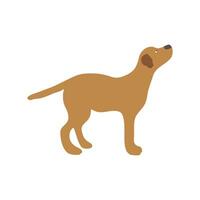 cane icona nel piatto colore stile. animale domestico animale vettore illustrazione su bianca isolato sfondo