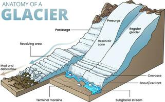 illustrazione di ghiacciaio attraversare sezione diagramma vettore