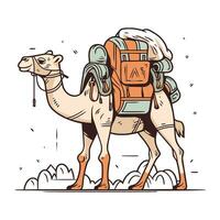 cammello turista. vettore illustrazione di un' cammello con un' zaino.