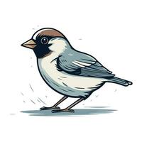 chickadee uccello. mano disegnato vettore illustrazione isolato su bianca sfondo.