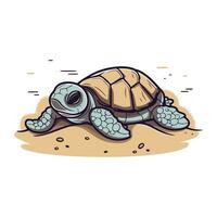 tartaruga su il spiaggia. vettore illustrazione di un' cartone animato tartaruga.