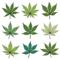 semplicità foglia di cannabis disegno a mano libera collezione di design piatto. vettore