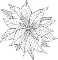 poinsettia fiore contorno poinsettia line art natale agrifoglio vettore