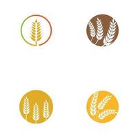 disegno dell'icona di vettore di grano agricoltura