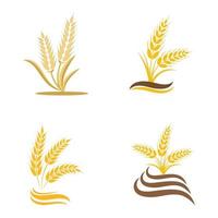 disegno dell'icona di vettore di grano agricoltura
