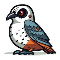 vettore illustrazione di un' uccello nel cartone animato stile su un' bianca sfondo.