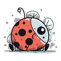 vettore illustrazione di coccinella. carino mano disegnato coccinella.