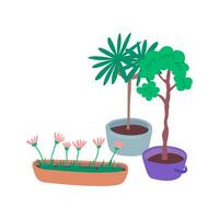 cartone animato colore diverso tipi piante d'appartamento impostato . vettore