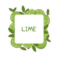 lime sfondo confine vettore