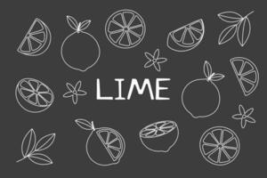 lime schema impostato illustrazione su nero vettore