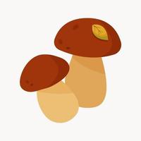 due funghi porcini di bosco vettore