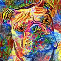 ritratto astratto bulldog pittura geometrica artistica vettore