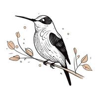 mano disegnato vettore illustrazione di un' uccello seduta su un' ramo con le foglie.