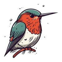 mano disegnato vettore illustrazione di un' rosso gola colibrì.