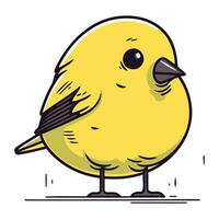 vettore illustrazione di un' carino poco giallo uccello su un' bianca sfondo.