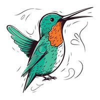 colibrì. mano disegnato vettore illustrazione. isolato su bianca sfondo.