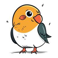 carino cartone animato uccello. vettore illustrazione isolato su un' bianca sfondo.