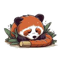 carino rosso panda addormentato su un' bambù. vettore illustrazione.