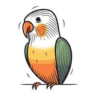 pappagallo isolato su bianca sfondo. cartone animato pappagallo. vettore illustrazione.