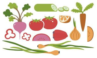 fresco verdure per equilibrato salutare nutrizione vettore