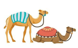 tour ecologico cammello giro, animali con coperture su indietro vettore