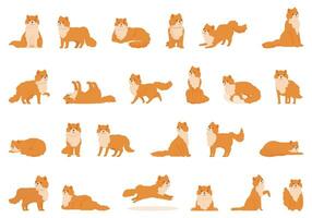 persiano gatto icone impostato cartone animato vettore. animale carino animale domestico vettore