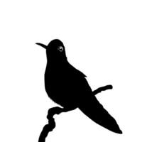 arroccato colibrì silhouette, può uso arte illustrazione, sito web, logo grammo, pittogramma o grafico design elemento. vettore illustrazione