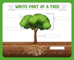 scrivi parti di un foglio di lavoro ad albero per bambini vettore