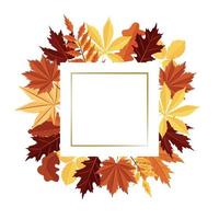 cornice quadrata fatta di foglie d'autunno. vettore