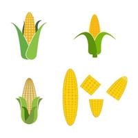 disegno dell'icona di vettore di mais agricoltura