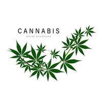 marijuana medica, logo foglia verde cannabis. illustrazione vettoriale. vettore