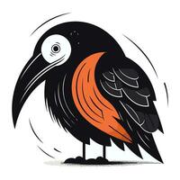 illustrazione di un' nero corvo con un arancia becco su un' bianca sfondo vettore