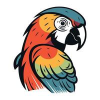 colorato pappagallo isolato su un' bianca sfondo. vettore illustrazione.