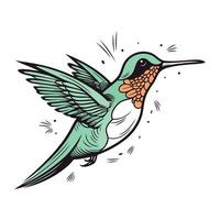 colibrì vettore illustrazione. isolato colibrì su bianca sfondo.