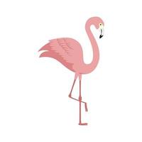 fenicottero rosa animale esotico icona isolata vettore