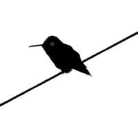 arroccato colibrì silhouette, può uso arte illustrazione, sito web, logo grammo, pittogramma o grafico design elemento. vettore illustrazione