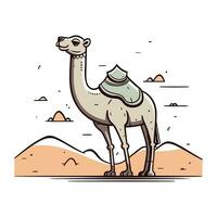 cammello nel il deserto. vettore illustrazione nel piatto cartone animato stile.