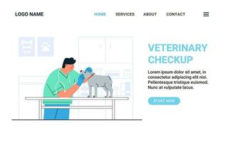 atterraggio pagina modello assistenza sanitaria annuale verifica animale domestico concetto illustrazione vettore