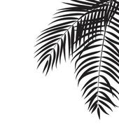 bellissimo sfondo di silhouette foglia di palma vettore