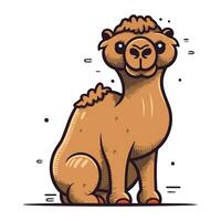 cammello vettore illustrazione. carino cartone animato cammello su bianca sfondo.