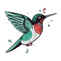 colibrì. colibri uccello. mano disegnato vettore illustrazione.